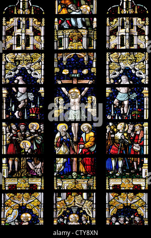 Aalst, Belgio. Sint Martinuskerk / St Martin's chiesa (1480-1638) le vetrate colorate. La Crocifissione Foto Stock