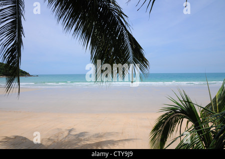 Ampia spiaggia di sabbia fine e dorata, azzurro mare, cielo blu, fronde di palme, Koh Sumet, Thailandia. Foto Stock