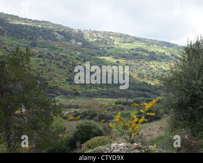 Una bella valle Foto Stock
