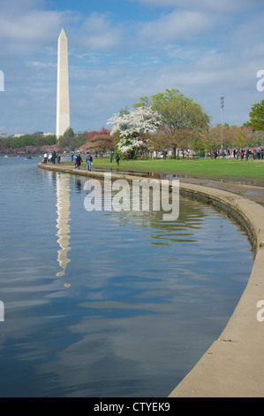 Washington Memorial oltre il bacino di marea a Washington DC Foto Stock