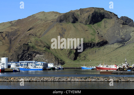 L'Islanda, Heimaey, la più grande isola dell'arcipelago Vestmannaeyjar Foto Stock