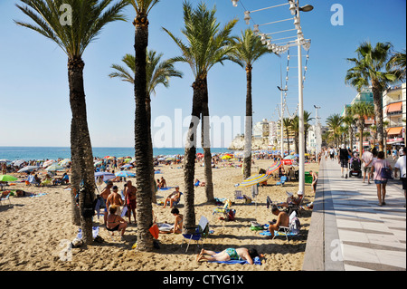 La gente sulla spiaggia di Levante e dalla passeggiata a Benidorm, Spagna Foto Stock