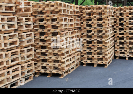 Pile di pallet in legno pronti per essere utilizzati per il trasporto di merci di Puy de Dome massiccio Auvergne Francia centrale Foto Stock