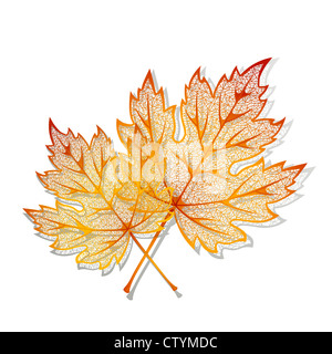 Autunno sfondo con foglie di acero Foto Stock