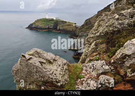 A sud di stack, faro di Isola Santa, Anglesey, Galles Foto Stock