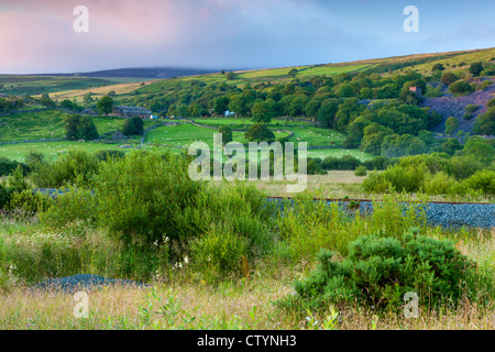 Paesaggio di rotolamento vicino Bettws Garmon, Snowdonia National Park, il Galles Foto Stock