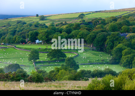 Paesaggio di rotolamento vicino Bettws Garmon, Snowdonia National Park, il Galles Foto Stock