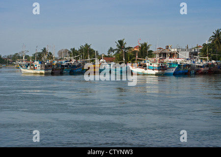 La pesca di altura barche nel porto, Negombo, Sri Lanka Foto Stock