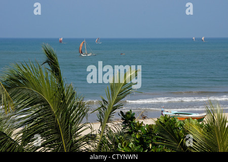 Outrigger barche da pesca (ORU) offshore in Oceano Indiano, Negombo, Sri Lanka Foto Stock