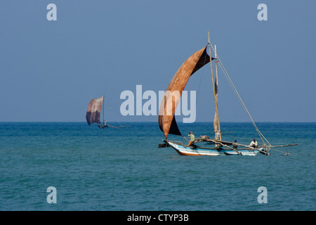 Outrigger barche da pesca (ORU) nell Oceano Indiano, Negombo, Sri Lanka Foto Stock