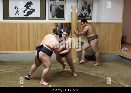 Lottatori di Sumo in Giappone durante una lotta Foto Stock