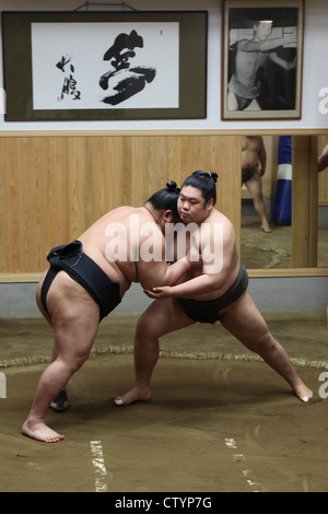 Lottatori di Sumo in Giappone durante una lotta Foto Stock