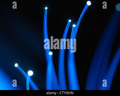Close up di cavi in fibra ottica Foto Stock
