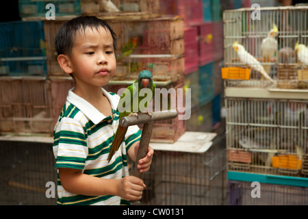 Giovane ragazzo cinese con grande pappagallo verde, Po Yuen Street Bird Garden e il Mercato dei Fiori, Hong Kong, Cina, Asia Foto Stock