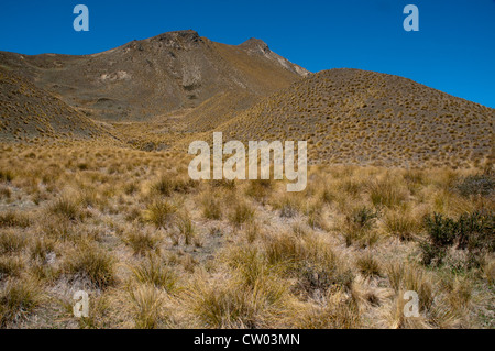 A 971 metri sul livello del mare sul Lindis Pass in Central Otago piovosità bassa crea tussock praterie in Nuova Zelanda. Foto Stock