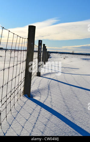 L'inizio dell'inverno sun gettando ombre della recinzione, sulla coperta di neve la terra. Foto Stock