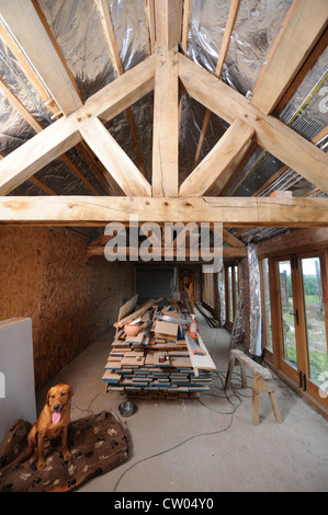 Restaurato travi e coperture Isolamento visibile durante un fienile conversione in corso Warwickshire, Regno Unito Foto Stock