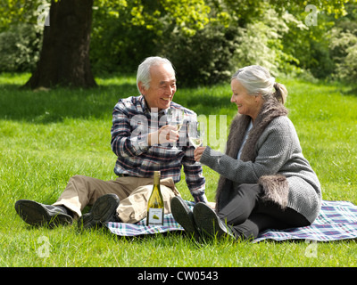 Coppia di anziani la tostatura ogni altro Foto Stock