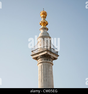 Il monumento per commemorare il Grande Incendio di Londra nel 1666 Foto Stock