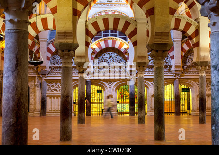 I meravigliosi interni della cattedrale di Cordoba Moschea Cordoba, Andalusia, l'Europa. Foto Stock