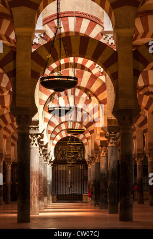 I meravigliosi interni della cattedrale di Cordoba Moschea Cordoba, Andalusia, l'Europa. Foto Stock