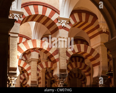 I meravigliosi interni della cattedrale di Cordoba Moschea Cordoba, Andalusia, l'Europa. Foto Stock