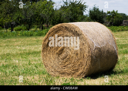 Appena balle di fieno nella campagna francese. Foto Stock