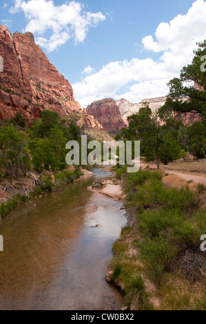 USA Utah, il Parco Nazionale di Zion, Vergine fiume scorre attraverso il parco. Foto Stock