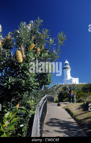 Fioritura banksia percorso accanto al faro di Cape Byron, Byron Bay, Nuovo Galles del Sud, Australia. N. PR o MR Foto Stock