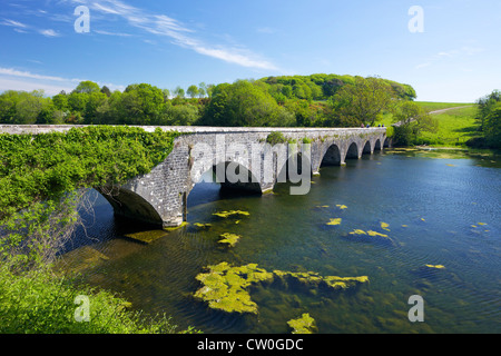 Ponte Eight-Arch, Bosherton stagni di fior di loto, Pembrokeshire National Park, West Wales, Cymru, UK, Regno Unito, GB Gran Bretagna, Foto Stock