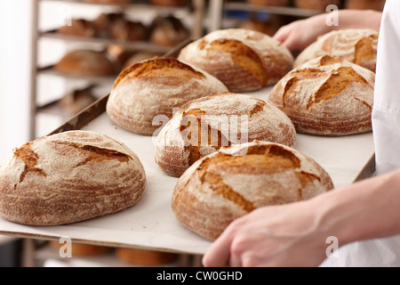 Lo chef che porta il vassoio del pane in cucina Foto Stock