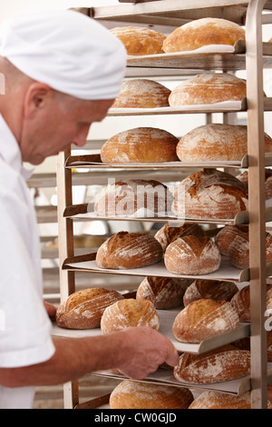 Lo Chef ponendo il vassoio di pane sulla cremagliera Foto Stock