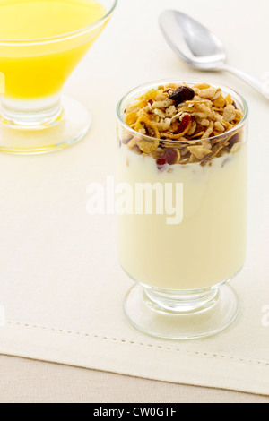 Deliziosi parfait di sana fatta con yogurt cremoso e crunchy granola o muesli Foto Stock