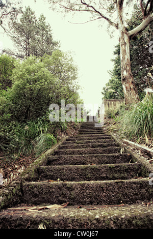 Basso angolo vista dal basso dei gradini di pietra in un cimitero Foto Stock
