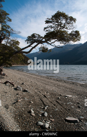 In splendido isolamento Mavora Laghi Specchio Alpi del Sud della Nuova Zelanda. Parti del "Signore degli Anelli" sono state prodotte qui. Foto Stock