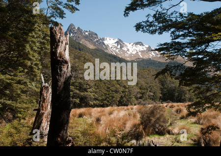 In splendido isolamento Mavora Laghi Specchio Alpi del Sud della Nuova Zelanda. Parti del "Signore degli Anelli" sono state prodotte qui. Foto Stock