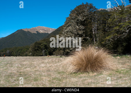 In splendido isolamento Mavora Laghi Specchio Alpi del Sud della Nuova Zelanda. Parti del "Signore degli Anelli" sono state prodotte qui. Foto Stock