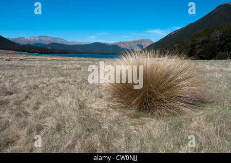 In splendido isolamento Mavora Laghi Specchio Alpi del Sud della Nuova Zelanda. Parti del "Signore degli Anelli" sono state prodotte qui. Foto Stock