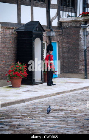 Una guardia scozzese in uniforme tradizionale in piedi al di fuori della sua casella di sentinella a guardia Queen's House presso la Torre di Londra. Regno Unito Foto Stock