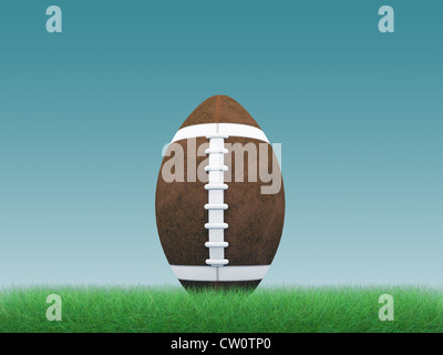 Sfera di calcio su erba verde Foto Stock