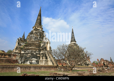 Due antiche pagode contro il cielo blu di Wat Phra Sri Sanphet, Ayutthaya, Thailandia Foto Stock