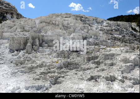 Minerva Terrazza Mammoth Hot Springs Yellowstone National Park in Wyoming, WY Foto Stock