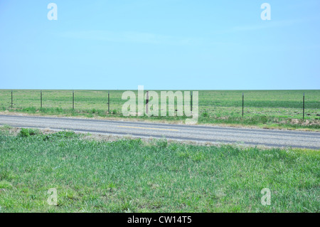 Texas terreni agricoli vicino a Amarillo, STATI UNITI D'AMERICA Foto Stock