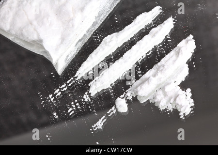La cocaina in polvere in linee , closeup Foto Stock