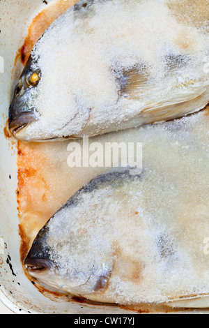 Due dorada pesce cotto nel sale Foto Stock