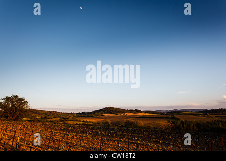 I bordi della luna in sul tramonto al di sopra di un paesaggio di vigneti incandescente e dolci colline. Foto Stock