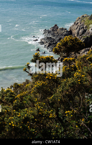 Petit Bôt Bay, Isola di Guernsey, Channel Island Foto Stock