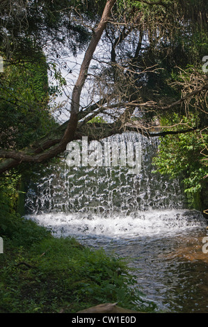 La cascata nel terreno a Newstead Abbey, Nottingham, Inghilterra, Regno Unito Foto Stock