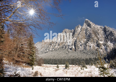 Inverno in montagna in scena Carpazi romeni Foto Stock