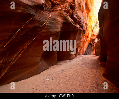 Il Gulch daino, un canyon nel sud dello Utah, Foto Stock